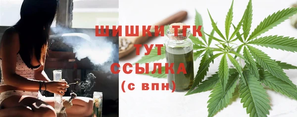 ГАЛЛЮЦИНОГЕННЫЕ ГРИБЫ Арсеньев