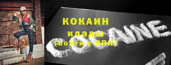 ГАЛЛЮЦИНОГЕННЫЕ ГРИБЫ Арсеньев