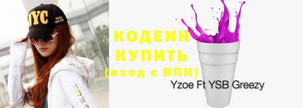 ГАЛЛЮЦИНОГЕННЫЕ ГРИБЫ Арсеньев