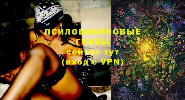 спайс Аркадак
