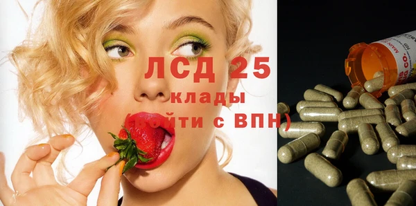 ГАЛЛЮЦИНОГЕННЫЕ ГРИБЫ Арсеньев